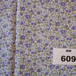 BW 609
